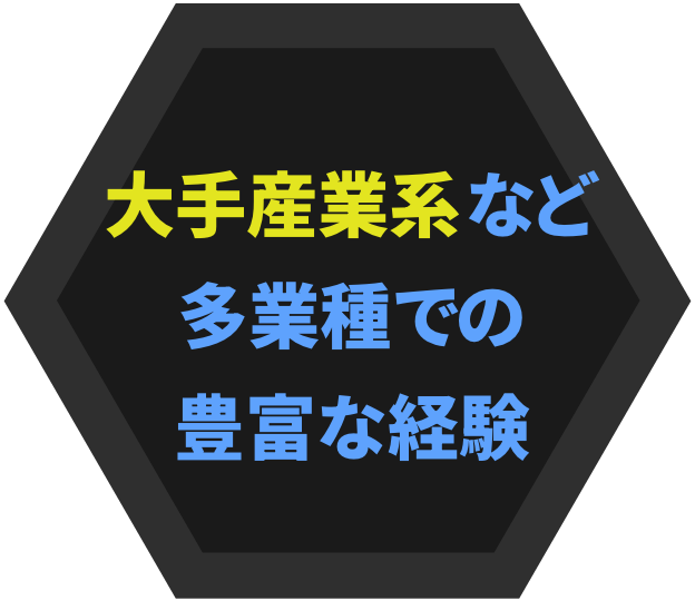 大手産業系など多業種での豊富な経験