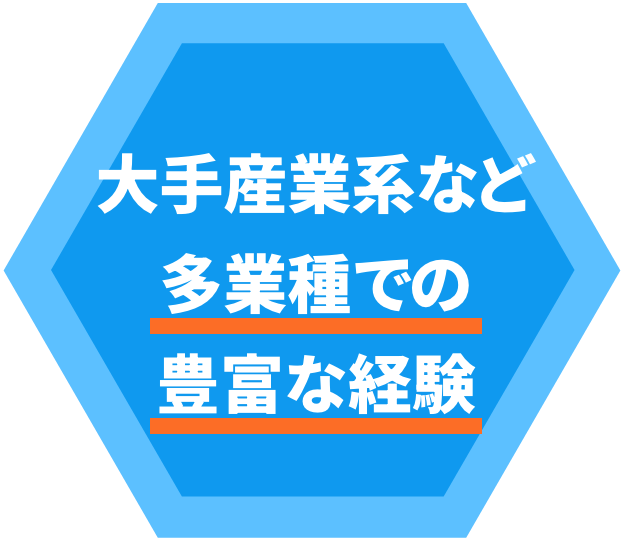 大手産業系など多業種での豊富な経験
